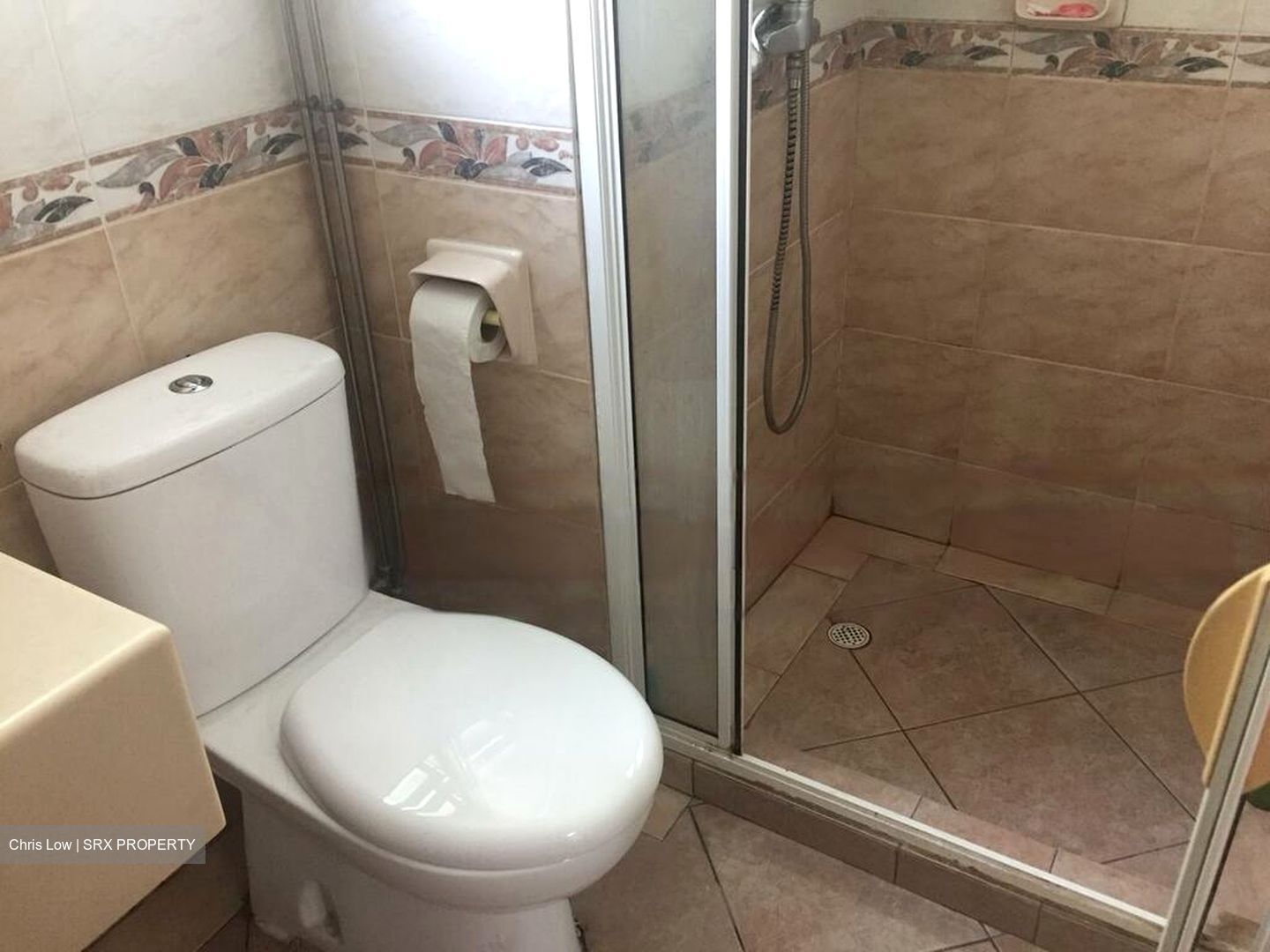 Hillview Green (D21), Condominium #467820731